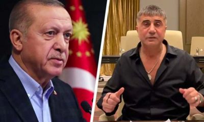 "Sedat Peker, 'Erdoğan ile helalleşme' videosu çekecek mi?"