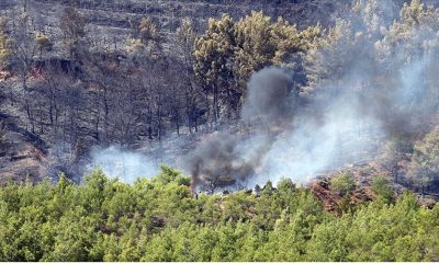 Fethiye'de yıldırım düştü, orman yangını çıktı