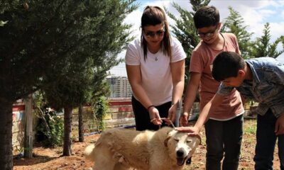 Görme engelli öğrenciler 'Toprak' ile köpek korkularını yendi