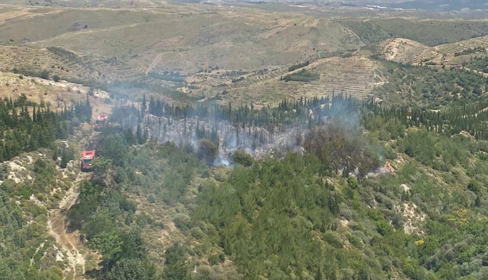 İzmir Seferihisar'daki yangın kontrol altına alındı