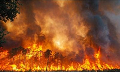Fransa ve İspanya’da orman yangını yayılıyor! On binlerce kişi tahliye edildi