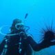 Mersin'in koyları, dalış turizmine öncülük ediyor