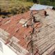 Okul çatısının onarımı yavru kuşlar için durduruldu