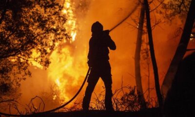 Avrupa'da iklim değişikliği son yılların en yoğun orman yangınlarına yol açıyor