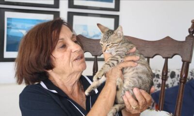 Sahiplendiği 15 kediye "anne şefkatiyle" bakıyor