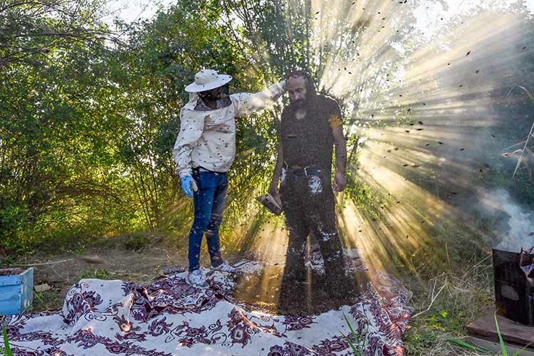 Vanlı “Arı adam” Guinness Rekorlar Kitabı’na girebilmek için üzerine yüzbinlerce arı topladı